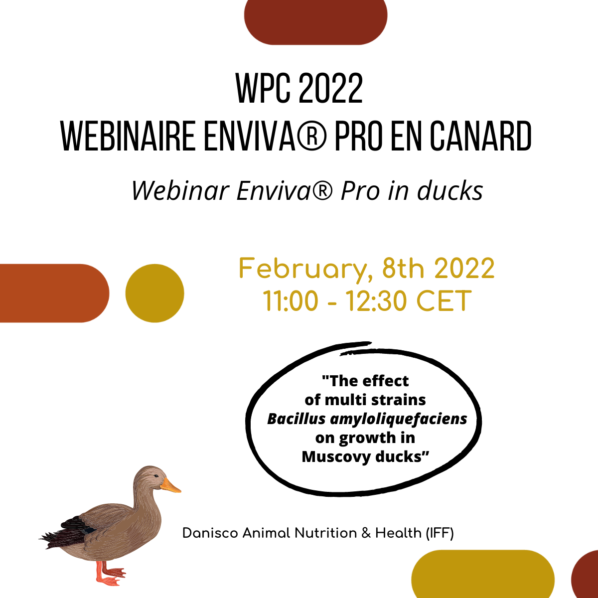 Webinaire sur Enviva Pro en canard